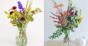 bloemen - blommen & flower-up